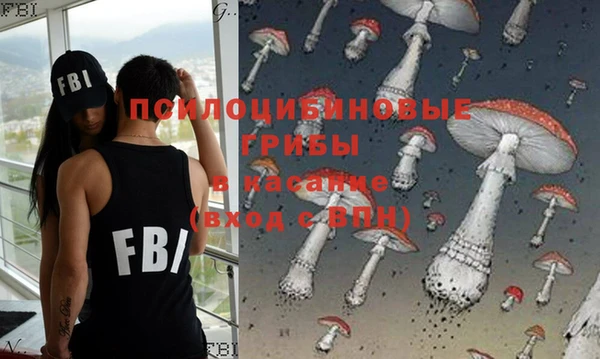 ECSTASY Михайловск