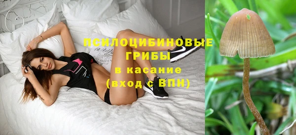 стаф Наволоки
